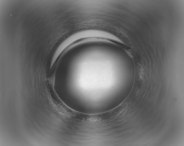 X0000053090546200507251607