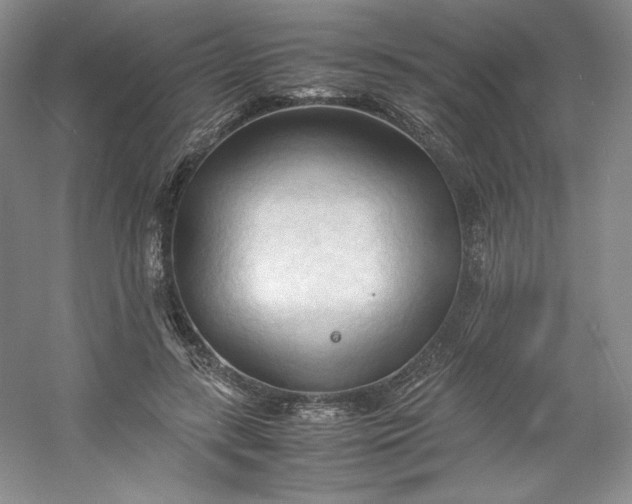 X0000053090547200507251607