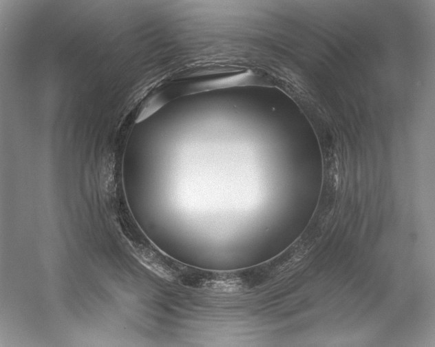 X0000053090548200507251607