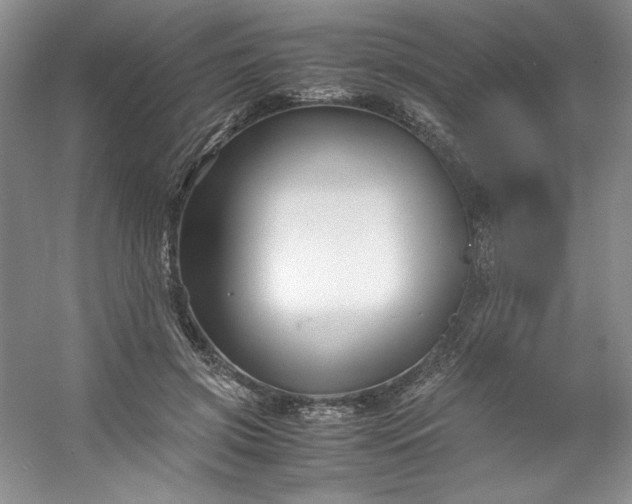 X0000053090549200507251607