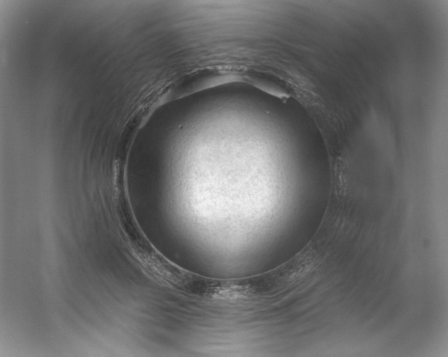 X0000053090550200507251607