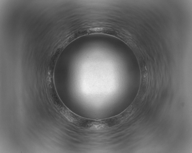 X0000053090555200507251607