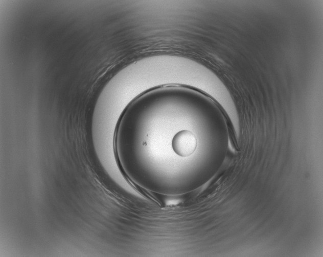 X0000053090556200507251607