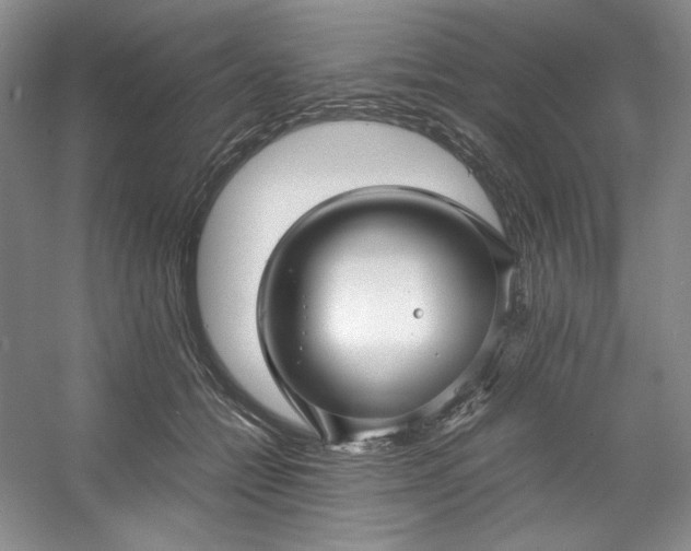 X0000053090558200507251607