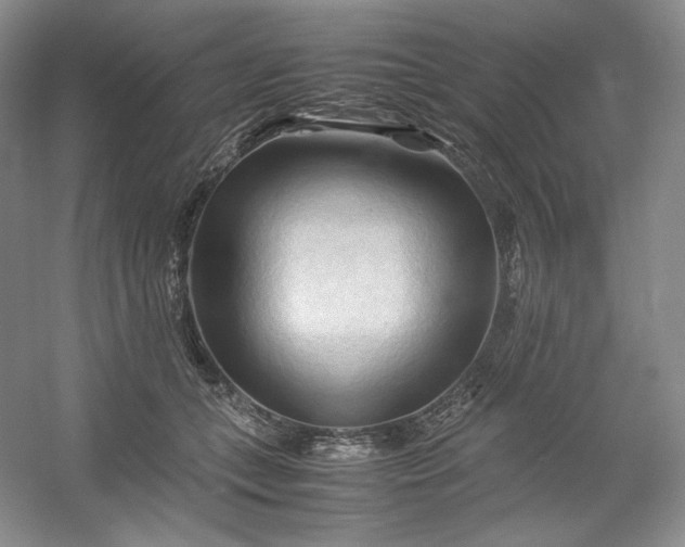 X0000053090559200507251607