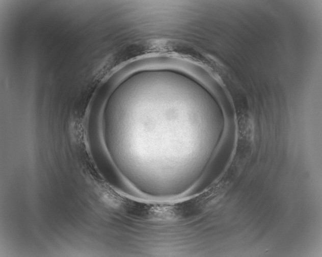 X0000053090560200507251607