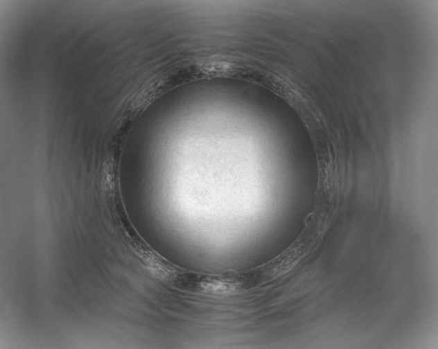 X0000053090561200507251607