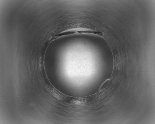 X0000053090563200507251607