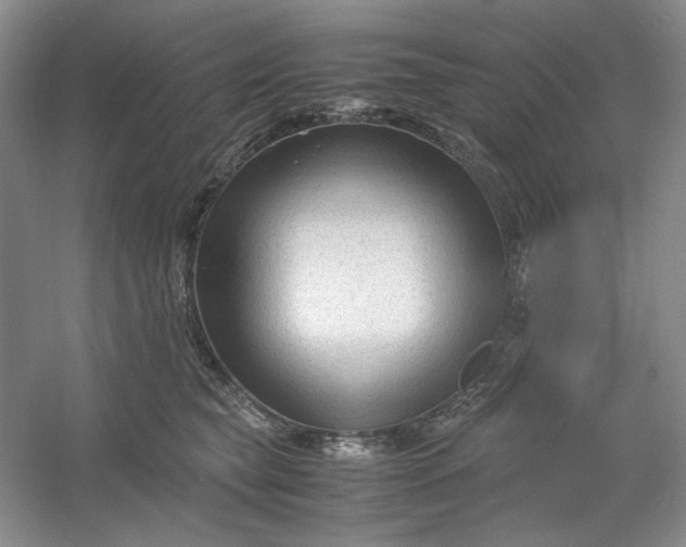 X0000053090565200507251608