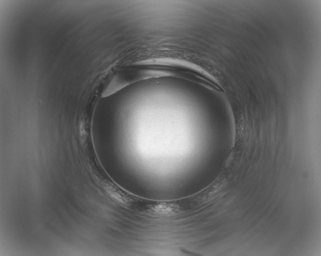 X0000053090566200507251608