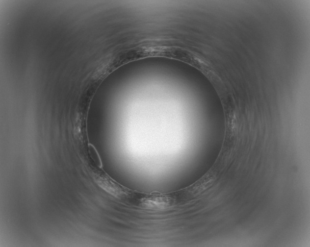 X0000053090567200507251608