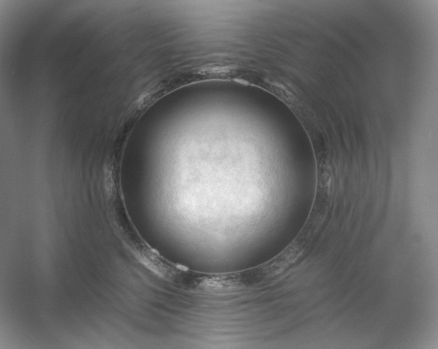 X0000053090568200507251608