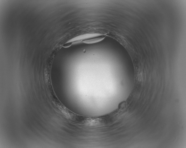 X0000053090569200507251608