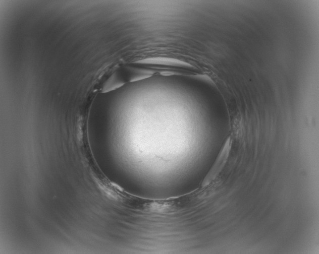 X0000053090570200507251608