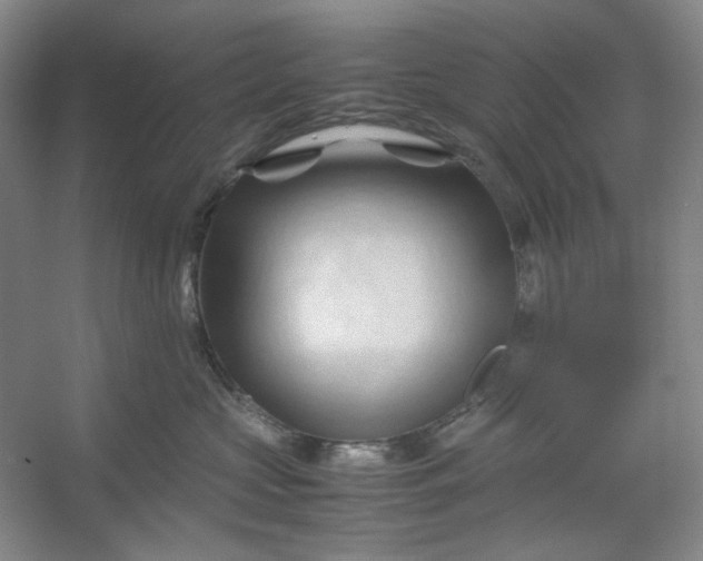 X0000053090573200507251608