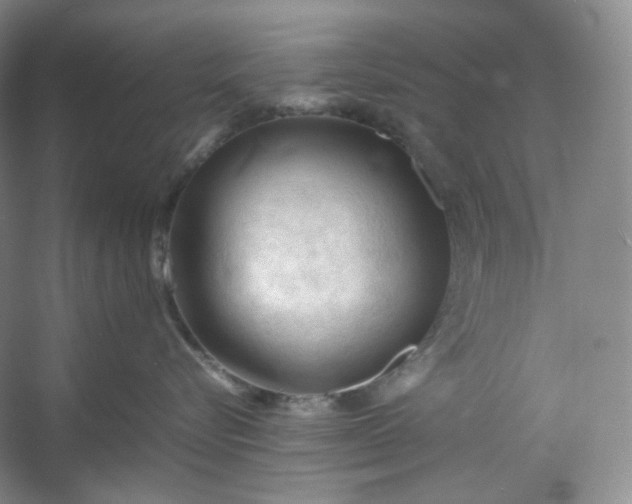 X0000053090576200507251608