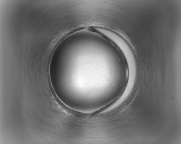 X0000053090577200507251607