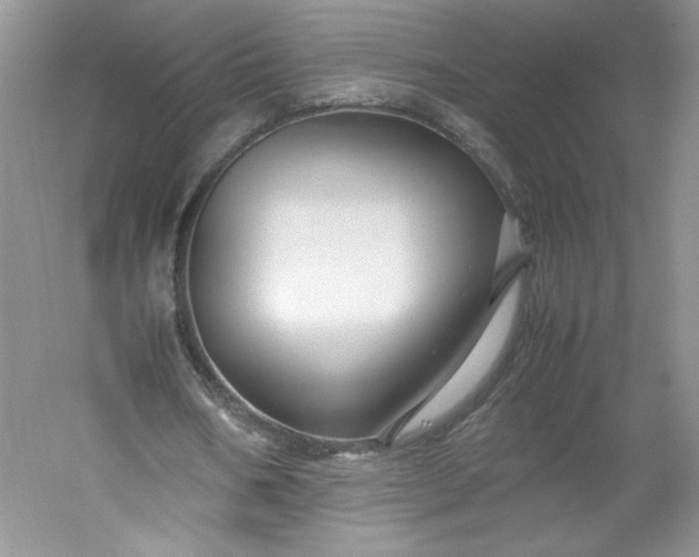 X0000053090578200507251607