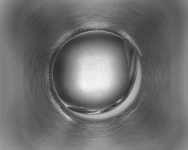 X0000053090581200507251607