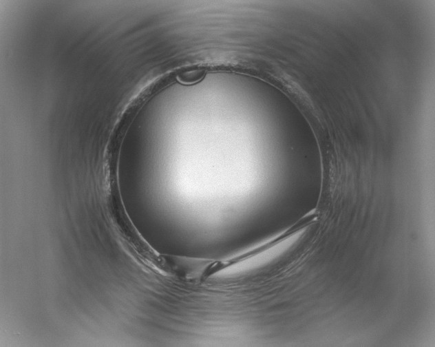 X0000053090584200507251607