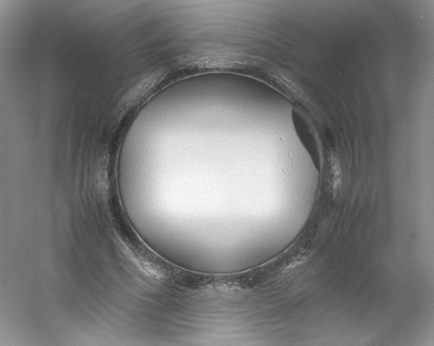 X0000053090586200507251607