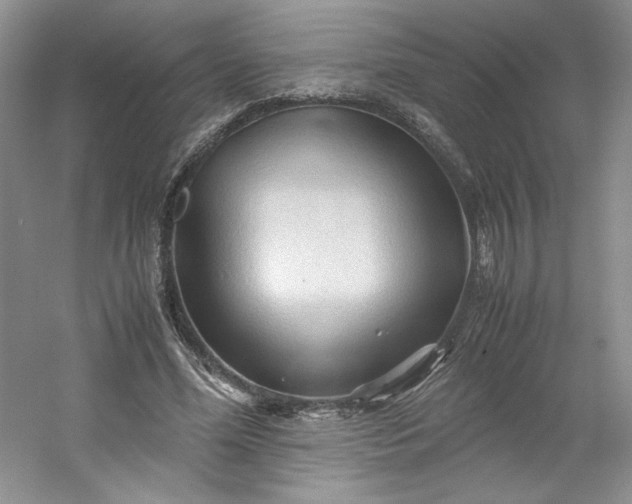 X0000053090588200507251607