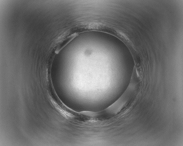 X0000053090589200507251607