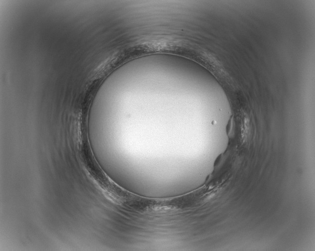 X0000053090590200507251607