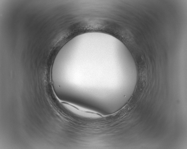 X0000053090591200507251607