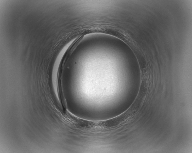 X0000053090593200507251607