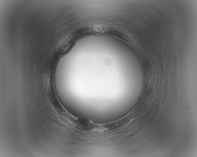 X0000053090595200507251607