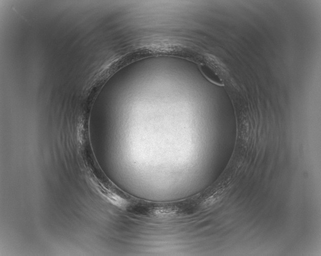 X0000053090596200507251607