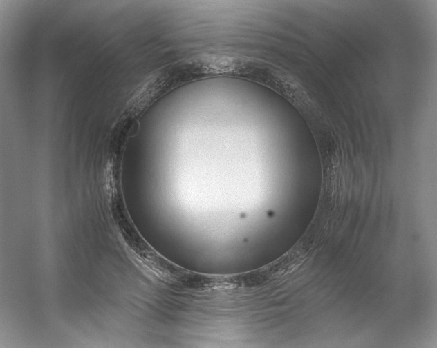 X0000053090598200507251607