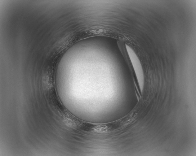 X0000053090606200507251606