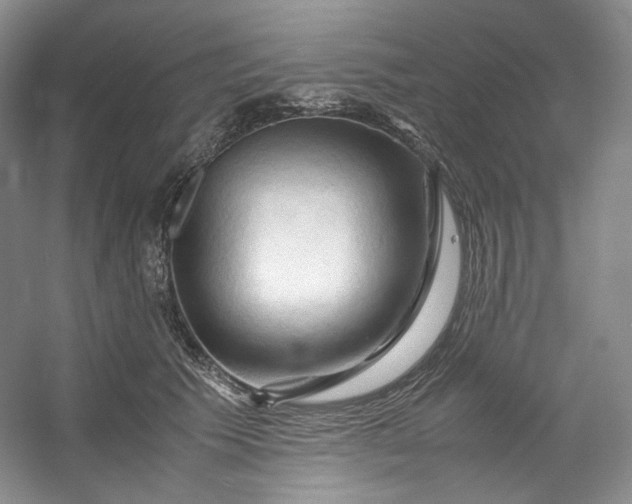 X0000053090609200507251606