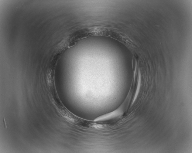 X0000053090611200507251606