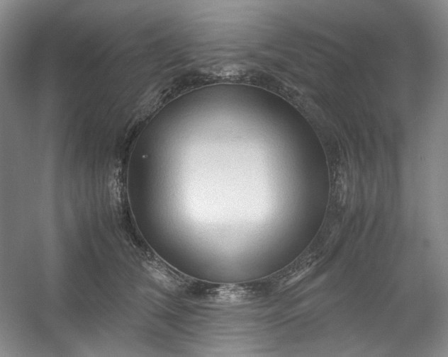 X0000053090612200507251606