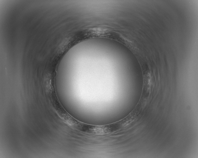 X0000053090615200507251606