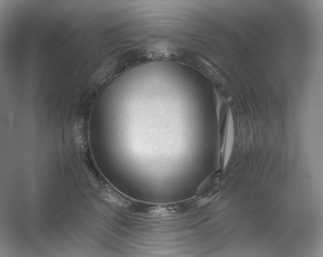 X0000053090616200507251606