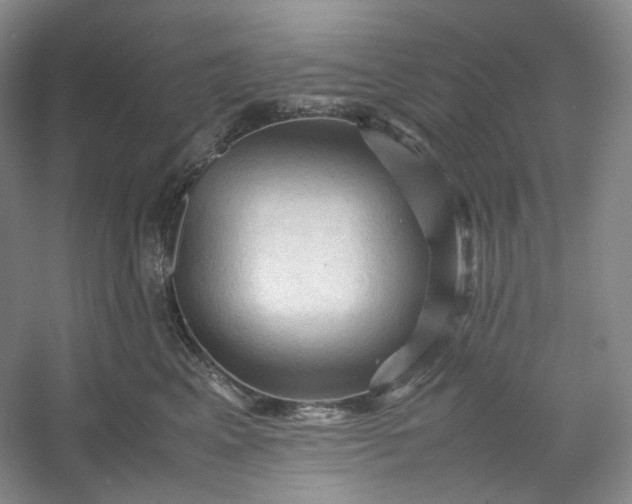 X0000053090617200507251606