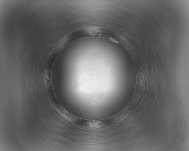 X0000053090618200507251606