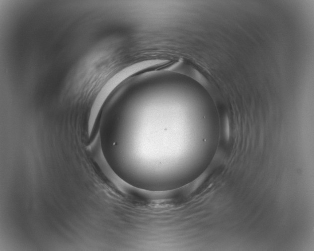 X0000053090619200507251606