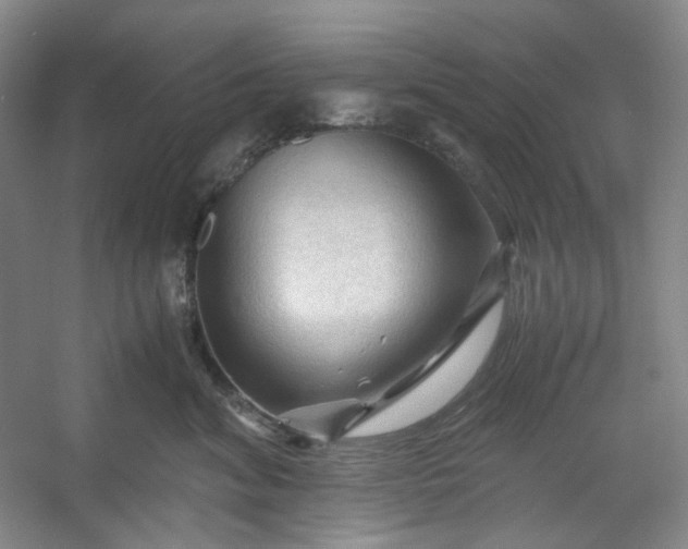 X0000053090620200507251606