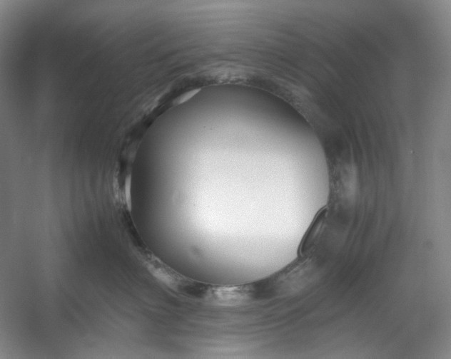 X0000053090622200507251606