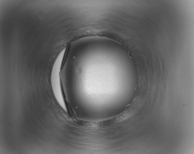 X0000053090624200507251606