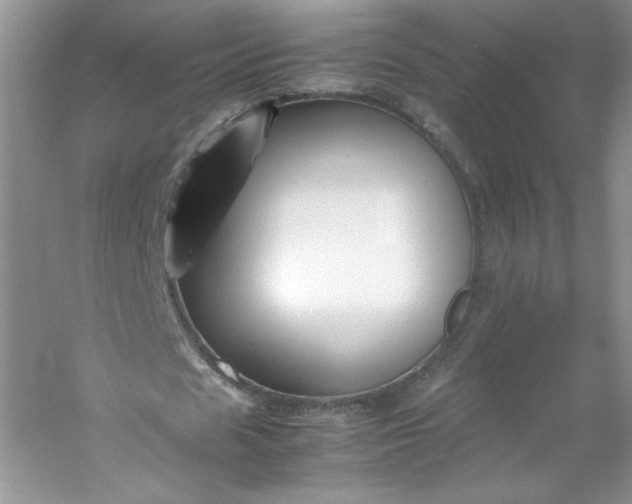 X0000053090625200507251605