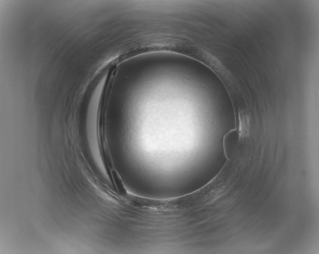 X0000053090627200507251605