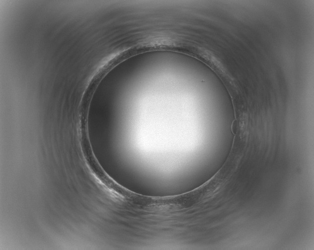 X0000053090629200507251605