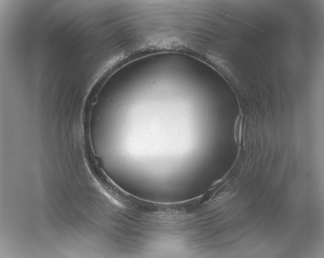 X0000053090630200507251605