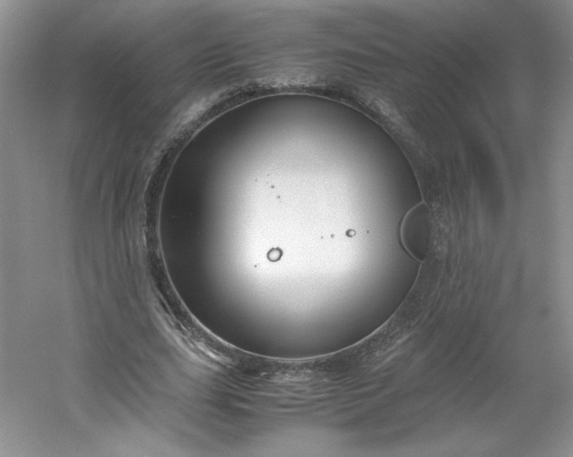 X0000053090631200507251605